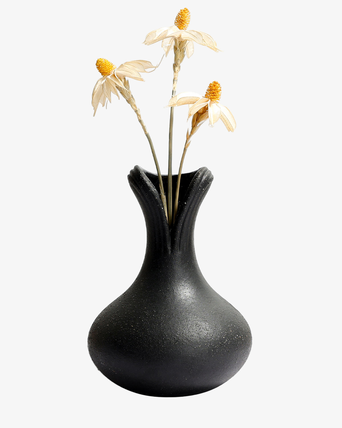 Black vase with dried flowers on a white background
